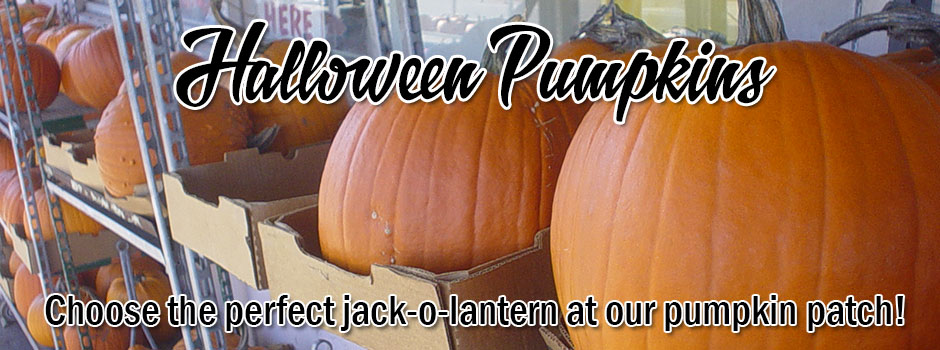 Halloween Pumpkins! We deliver your Pumpkins and Groceries!